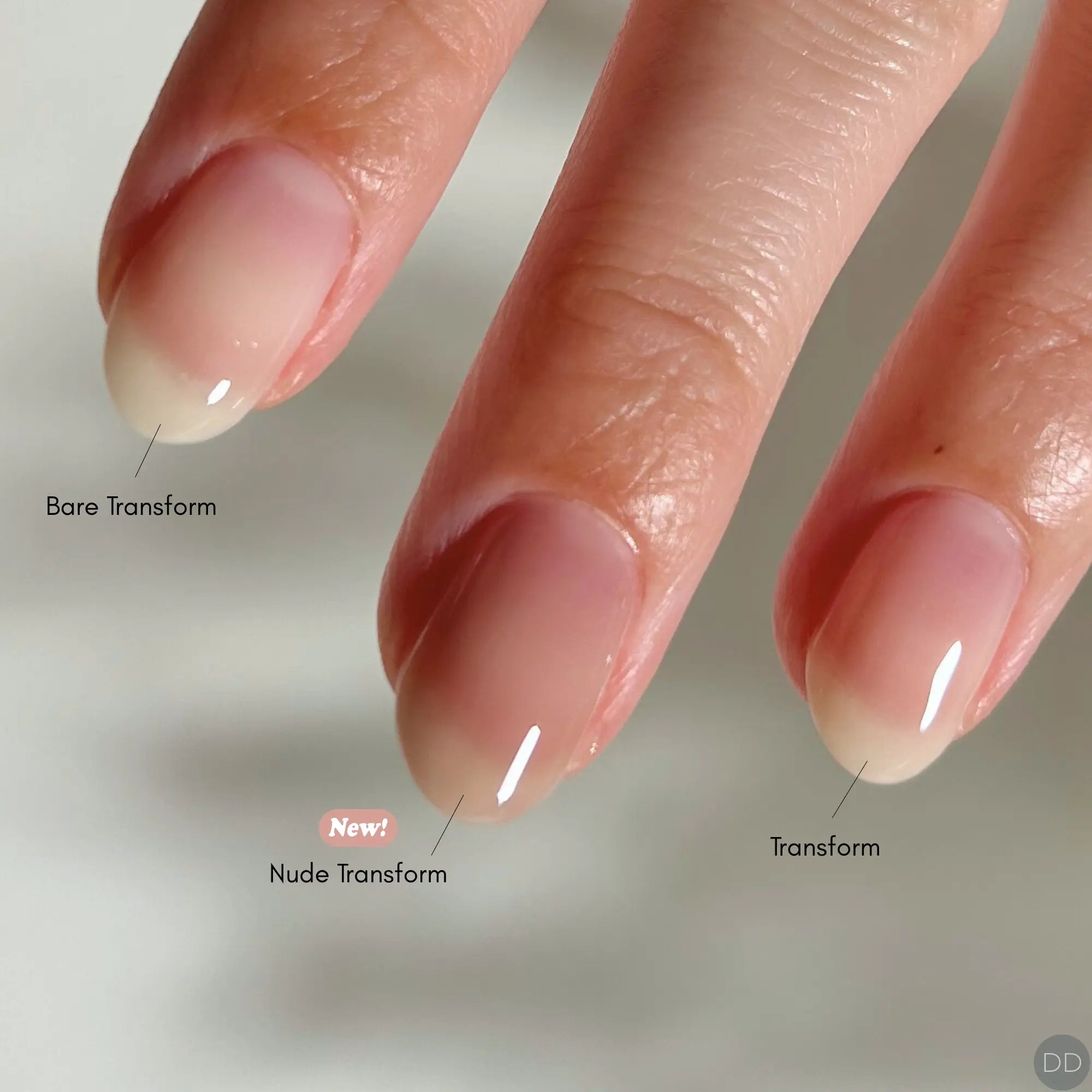 Dazzle Dry Australia & New Zealand TRANSFORM RIDGE FILLER