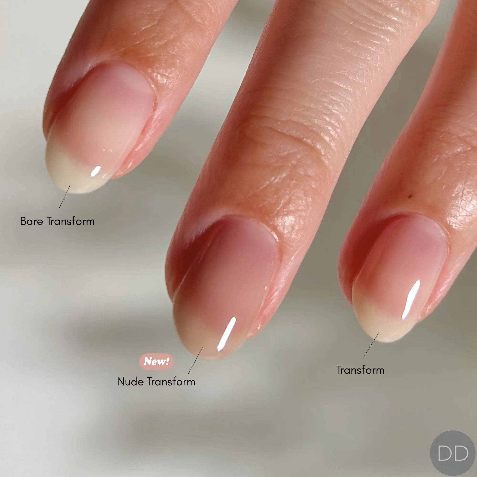 Dazzle Dry Australia & New Zealand BARE Transform Ridge Filler