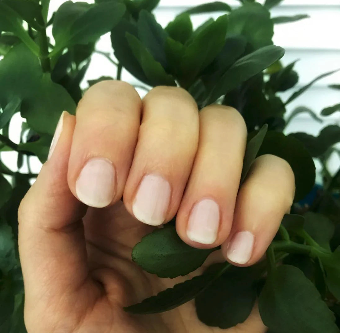 ROSE QUARTZ