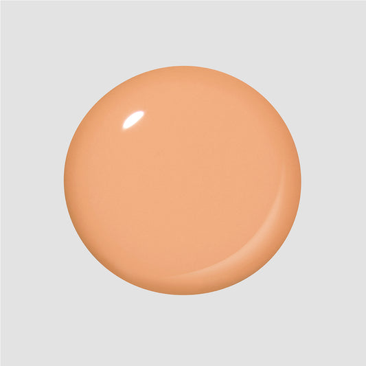 CREAMSICLE SORBET