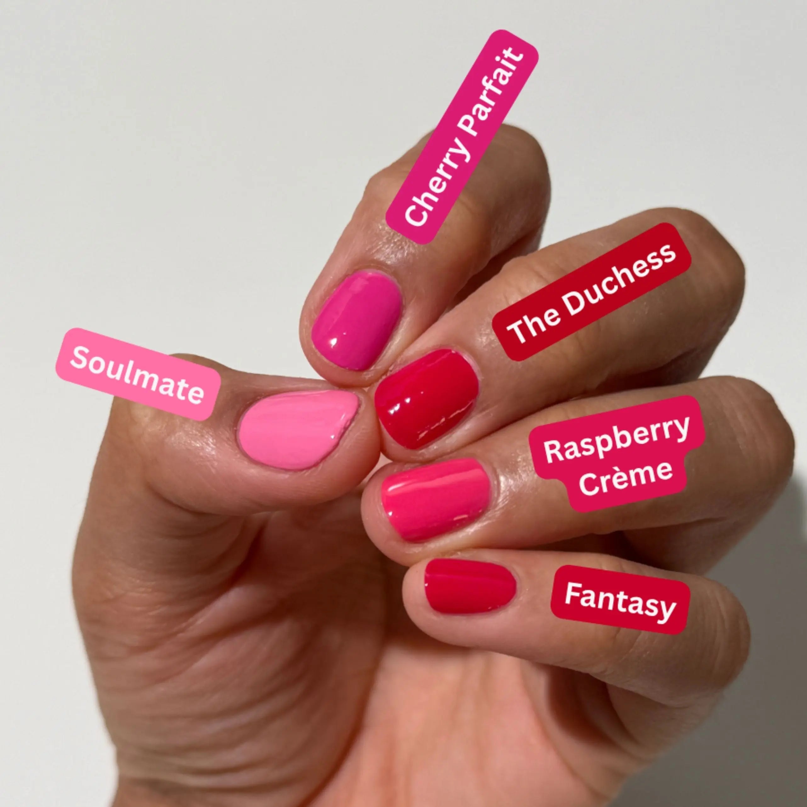 Dazzle Dry Australia & New Zealand FANTASY