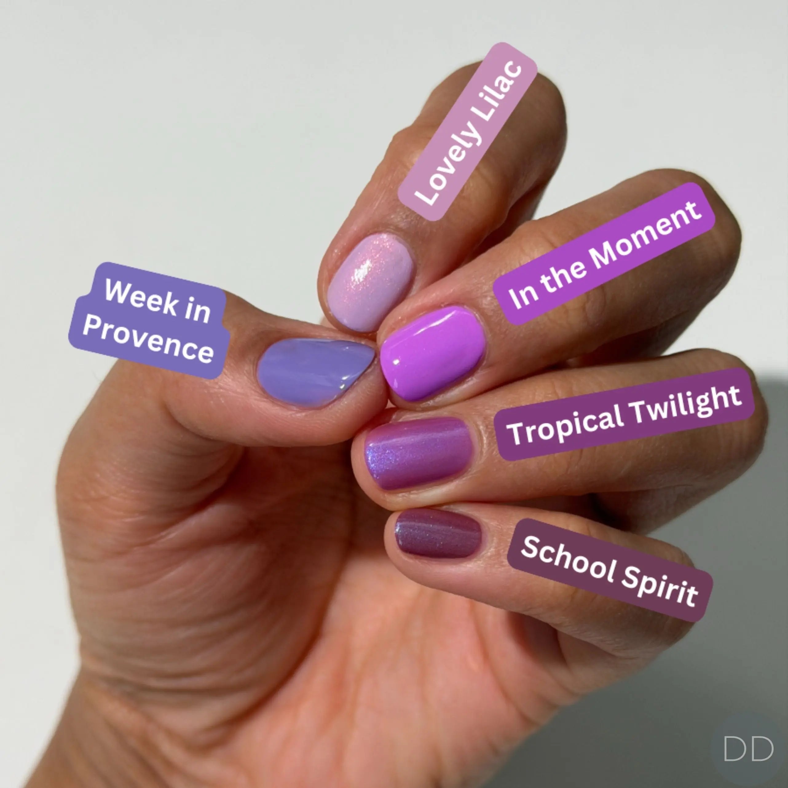 Dazzle Dry Australia & New Zealand WEEK IN PROVENCE